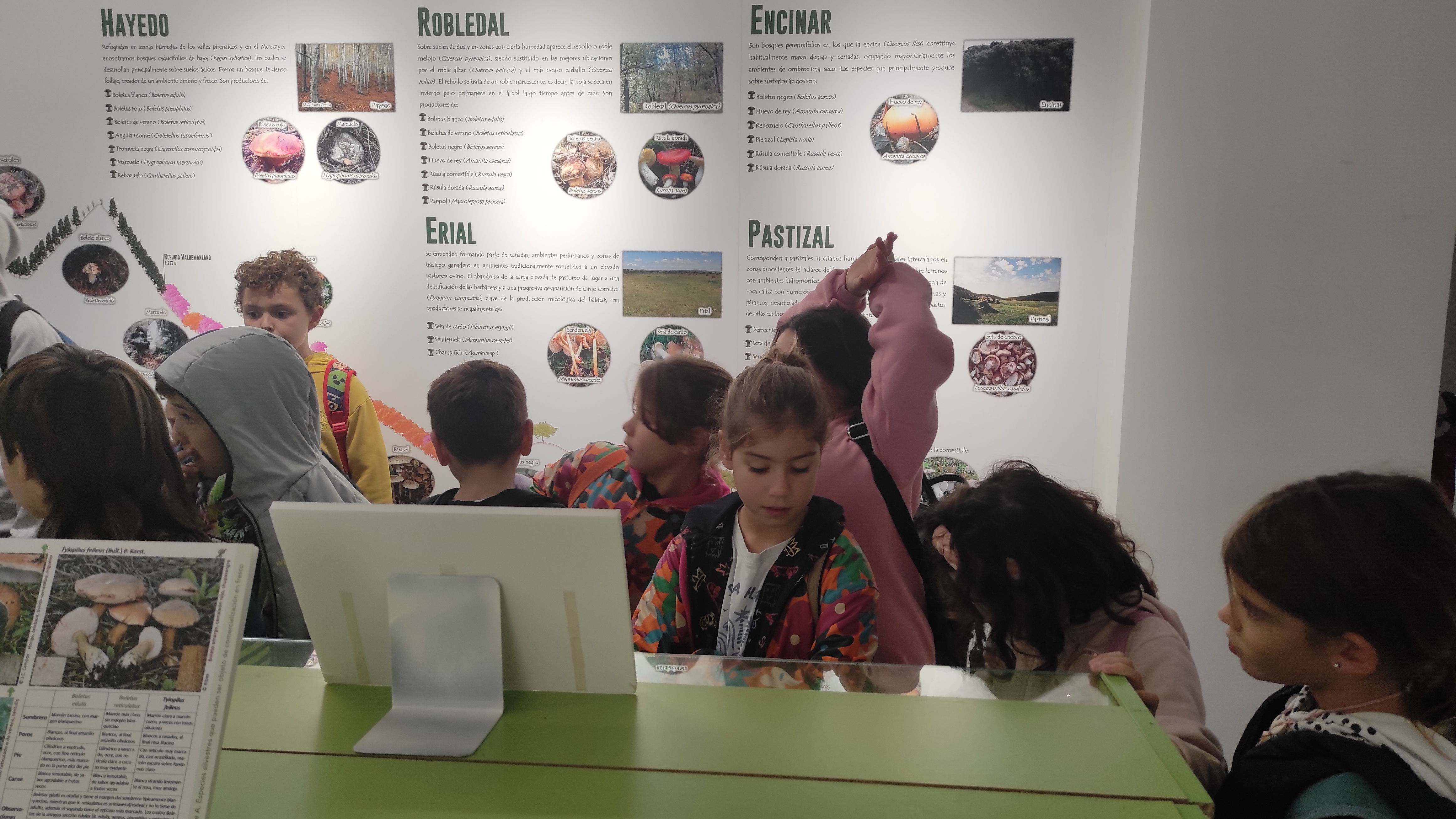 Copia de IMG_20251030_102454.jpg